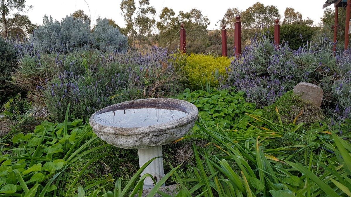 Barossa Glen