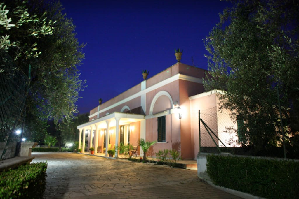 Facciata esterna (notturna)