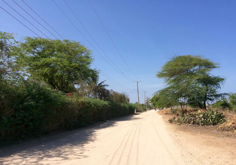 Access Road along the Coast