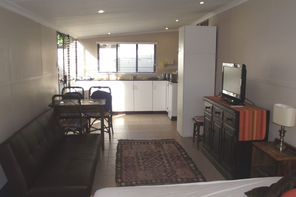 Large 1 bedroom open plan - sleeper couch for extra guests