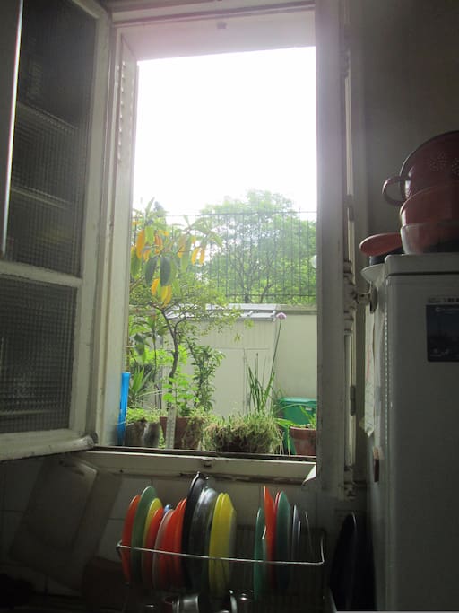 Faites la vaisselle en respirant le parfum de la saison