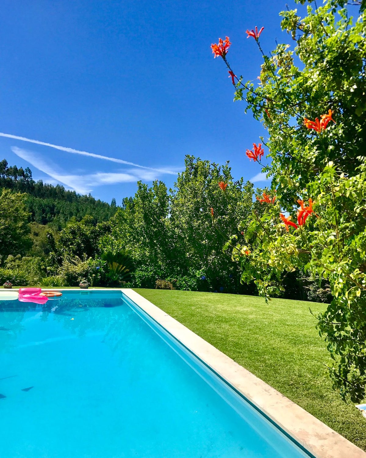 A clear blue pool reflects the bright sky, framed by lush green grass and vibrant flowering plants. The surrounding greenery includes large trees, adding to the tranquil and private atmosphere of the outdoor space.