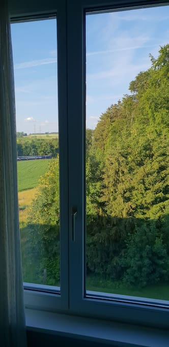 view from guest room