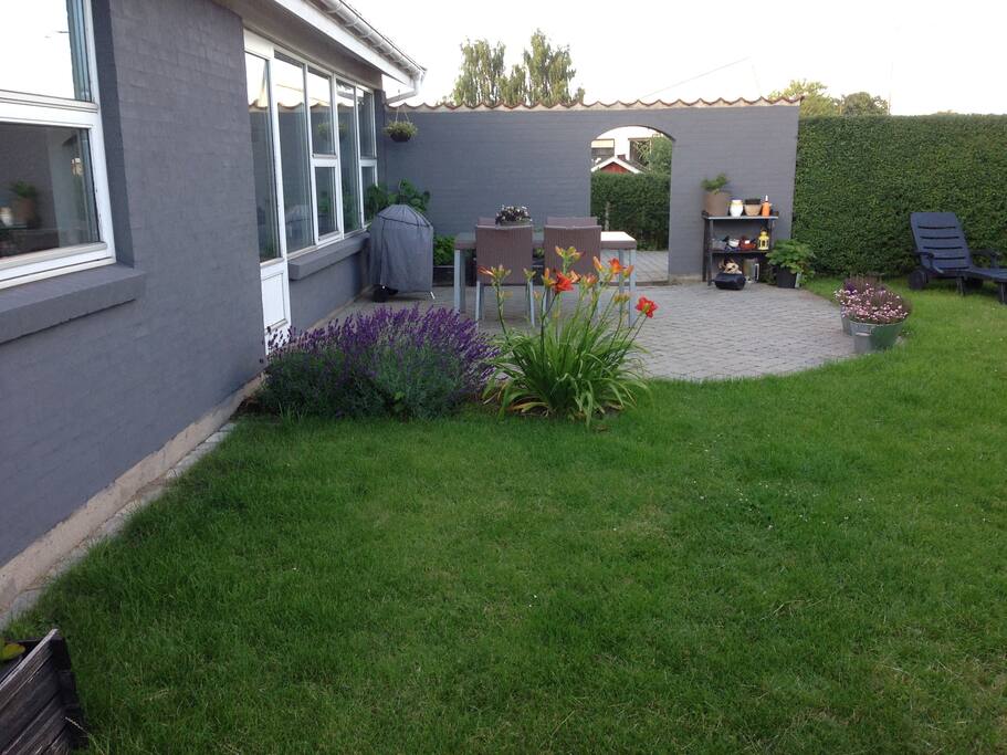 Terrace and green lawn