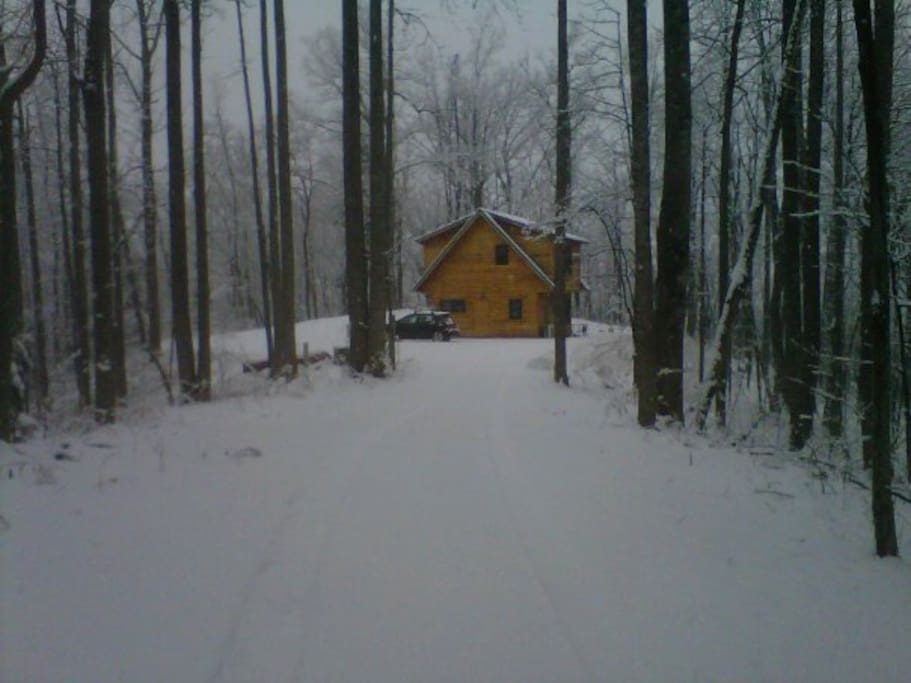 Winter