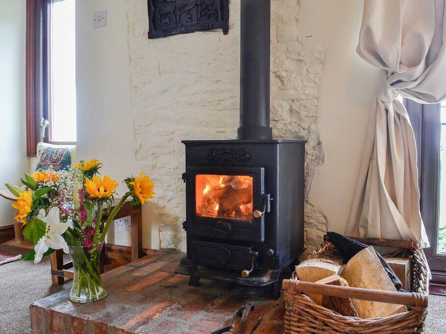 woodburing stove