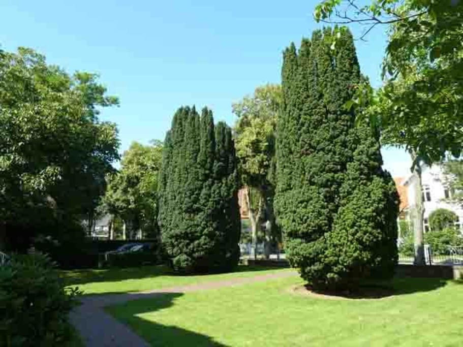 Garten
