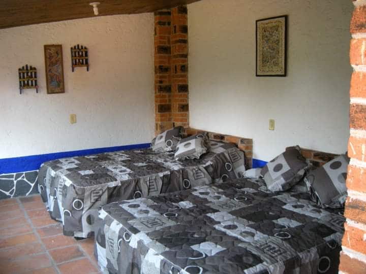 The room features two spacious beds dressed in patterned linens, with decorative pillows enhancing the aesthetic. Exposed brick walls are complemented by a contrasting blue band along the base. Artwork hangs on the walls, contributing to the warm, inviting environment.