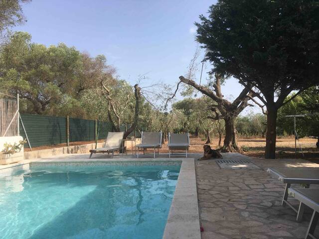 Charming house with pool and close to the sea gallery image 3