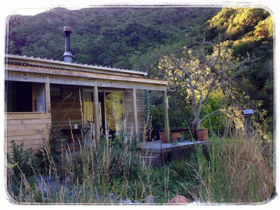Cabin back