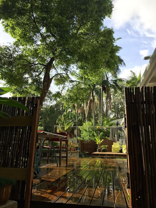 Leafy Outlook
