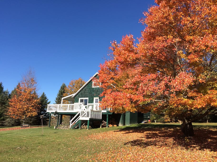 Front of the house in the fall.