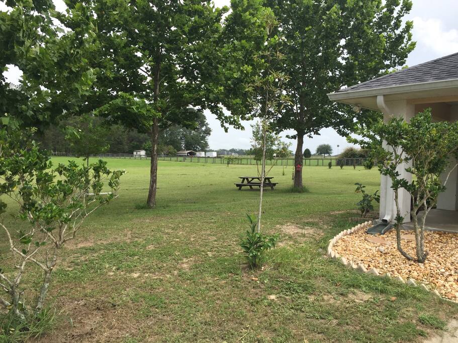 The view as you pull into the parking space. The back yard extends to the fence! Perfect for dogs that like to run.