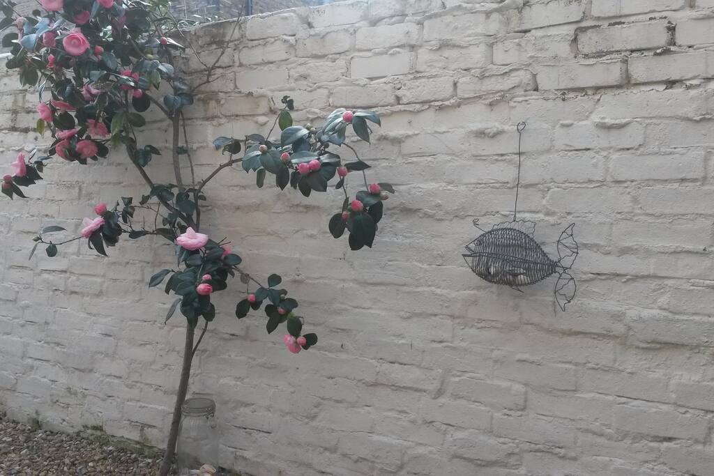 The lovely patio..