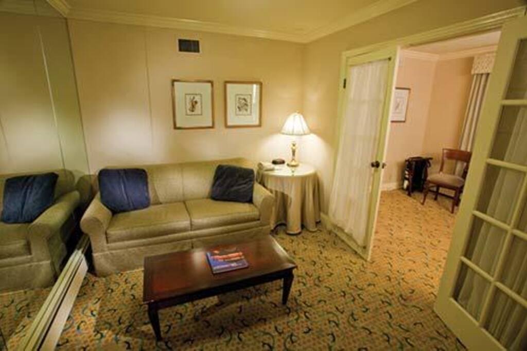 Sitting room with sofa bed serves as second bedroom