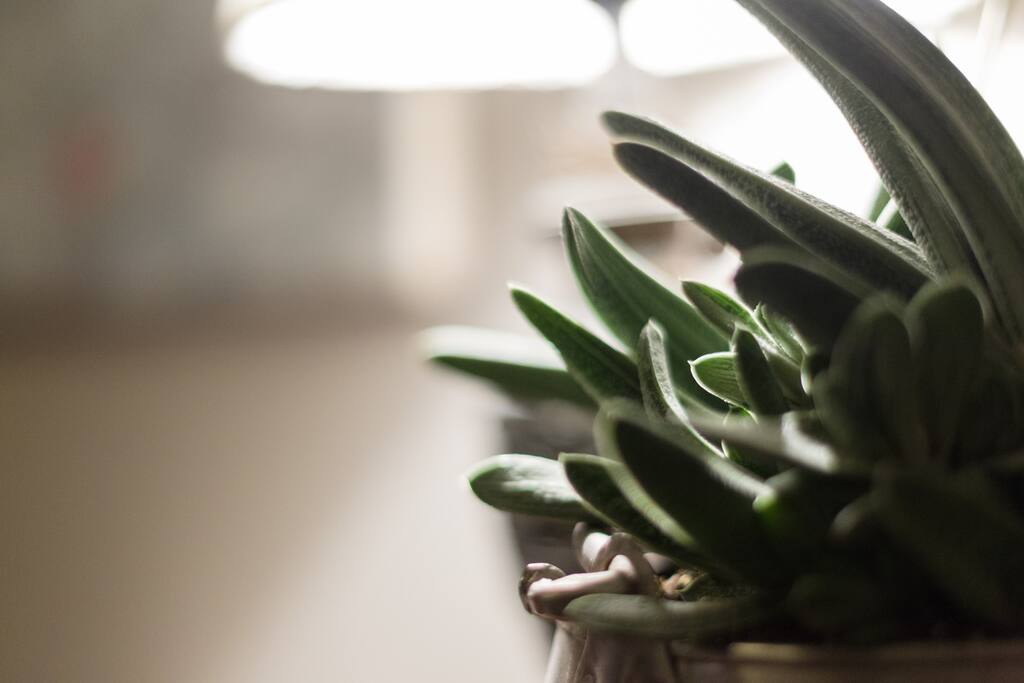 Main Bedroom Detail