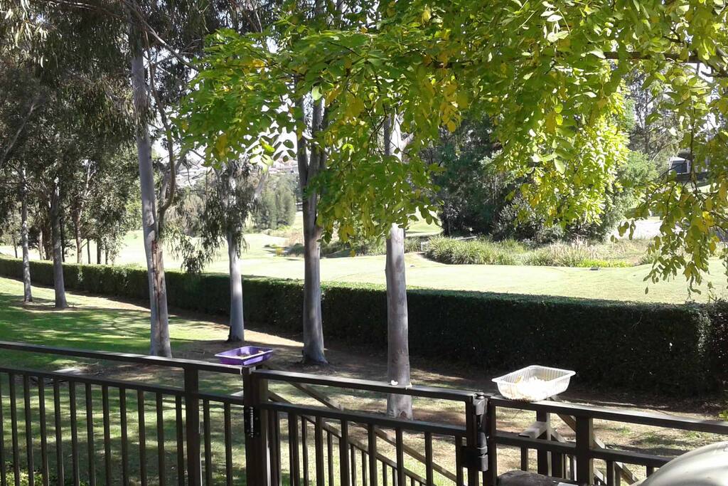 view from the balcony. Yes they are bird feeders. I hope you love colourful parrots and cockatoos!