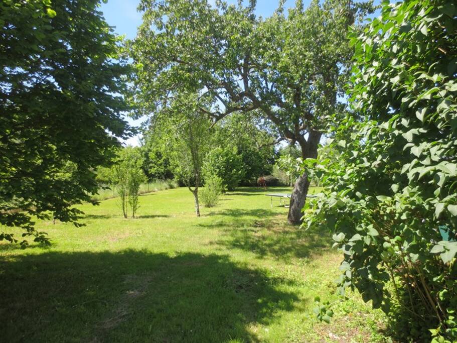 Jardin arrière