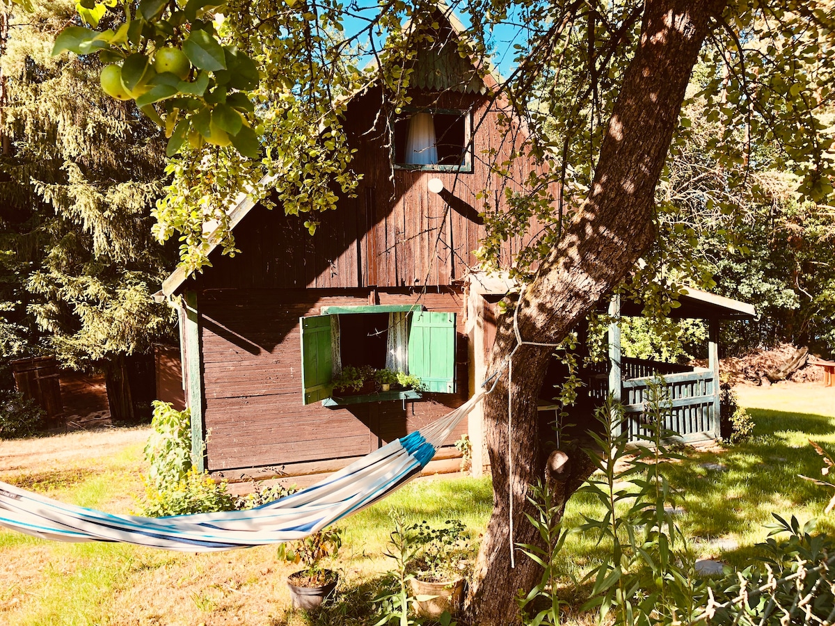 Chotilsko Vacation Rentals & Homes - Central Bohemian Region, Czechia |  Airbnb
