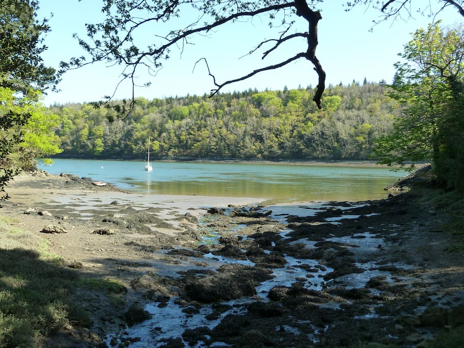 The Odet river, close to our house