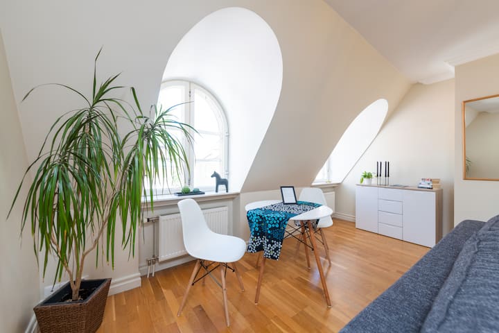 OLD TOWN - cozy enough for 1, big enough for 4