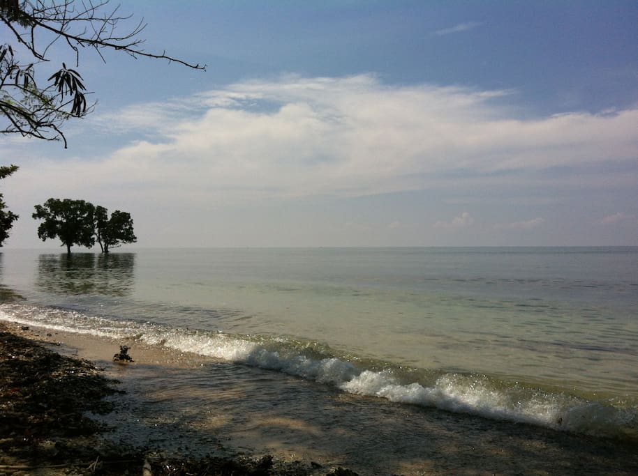Coastal view along our house