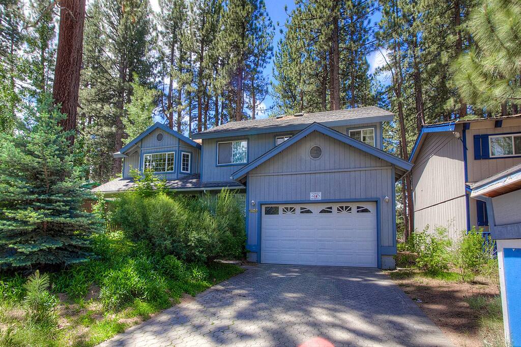 Building,Cottage,Yard,Gate,Fir