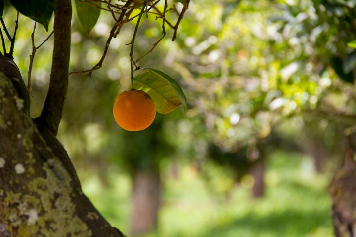 Torre-Villa Ciutadella piscina privada gallery image 4
