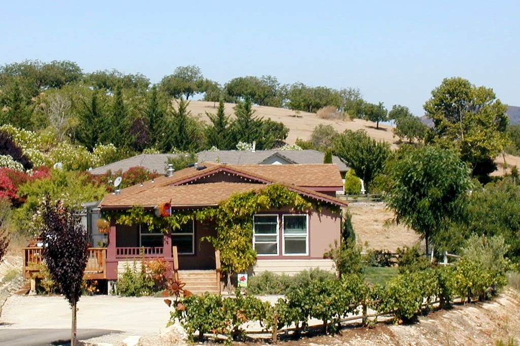 Outside View