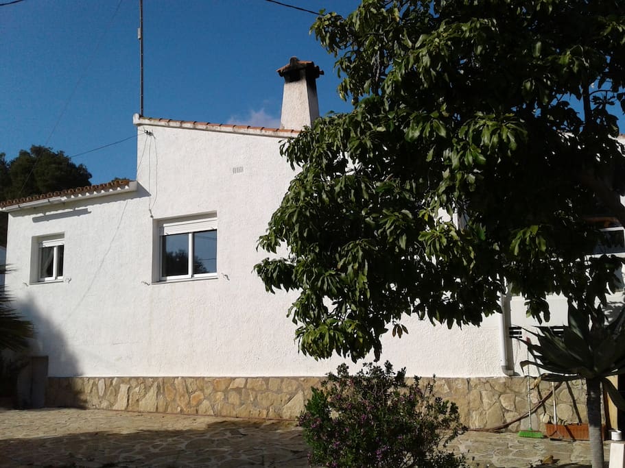 Casa Sonrisa avec avocatier