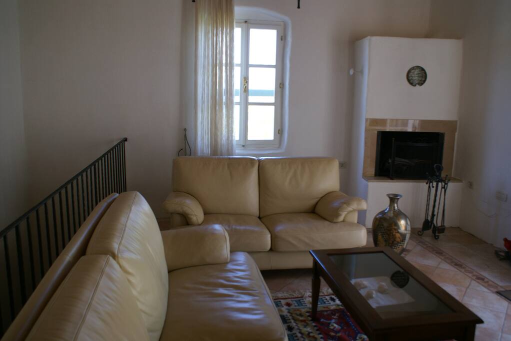 Living room with indoor fire place