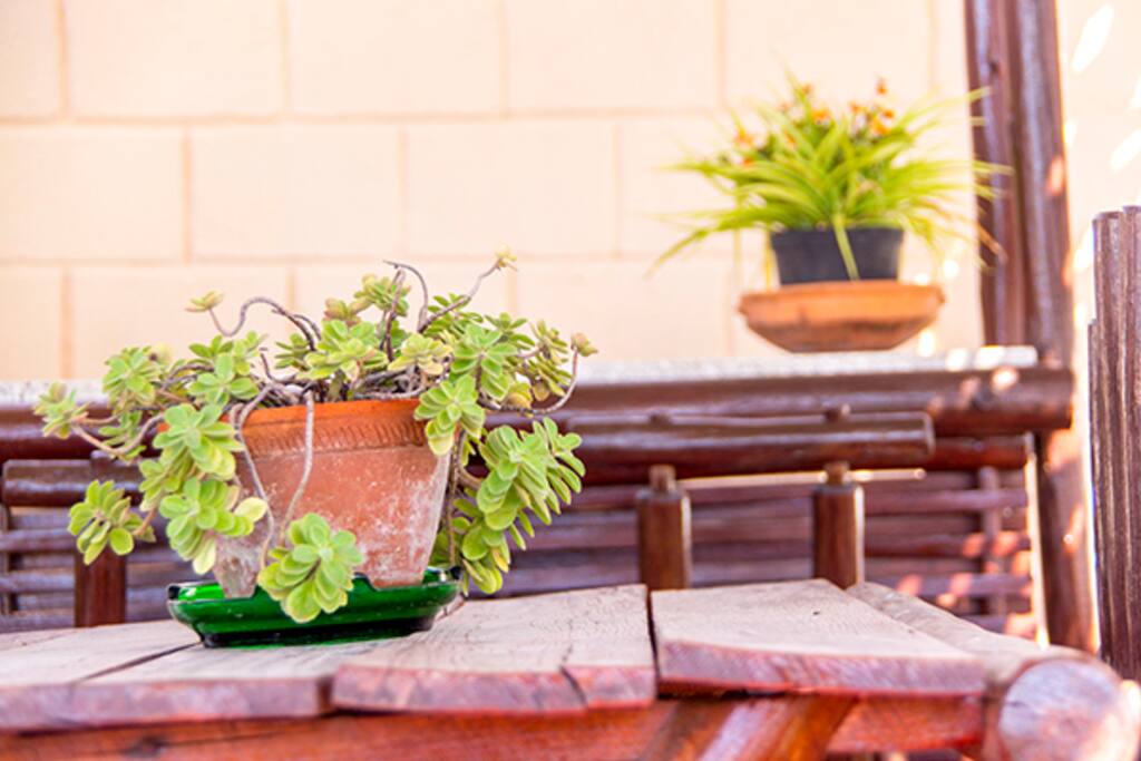 La terraza
