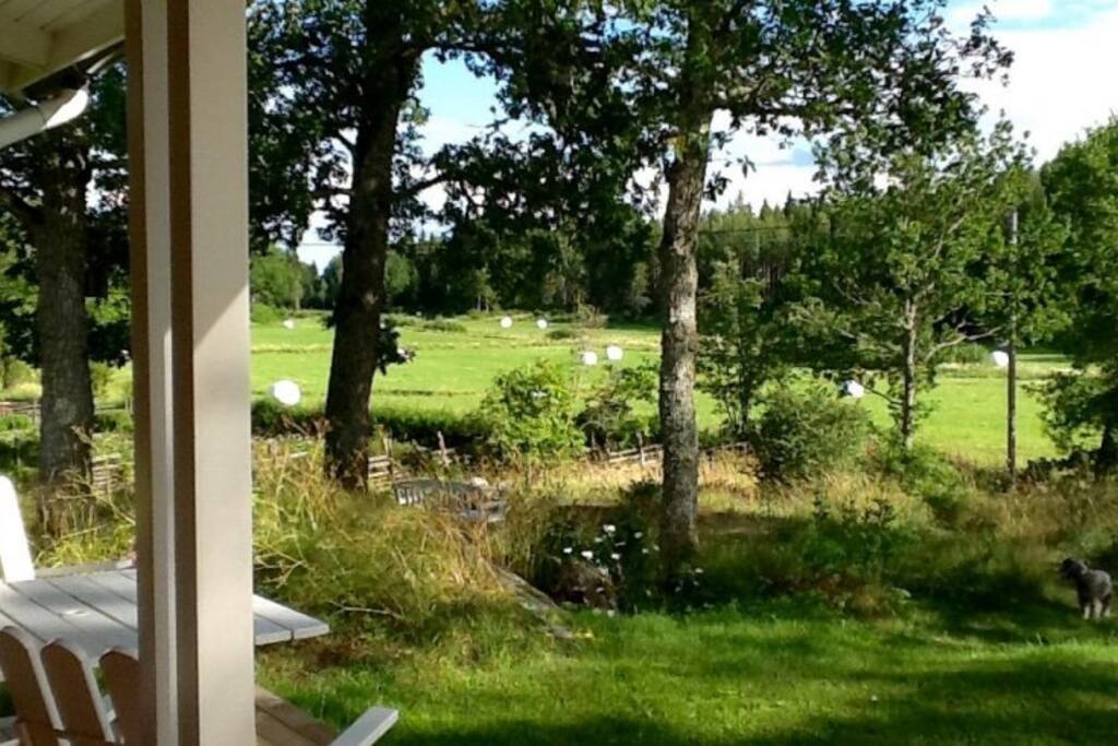 Utsikt från altanen