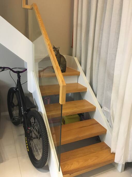 楼梯
