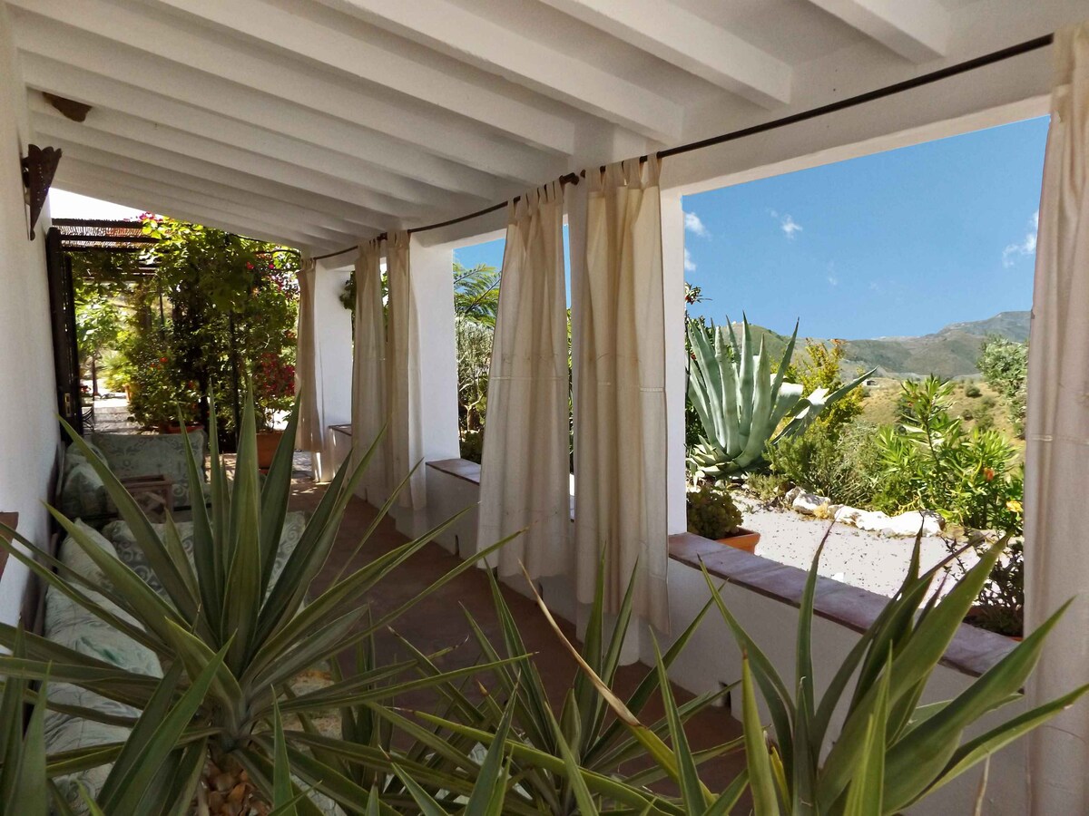 An outdoor terrace is framed by white drapes, creating a shaded area filled with greenery. Various potted plants, including large agave, enhance the natural setting. Scenic views of the surrounding countryside and mountains are visible through the open windows, inviting relaxation.