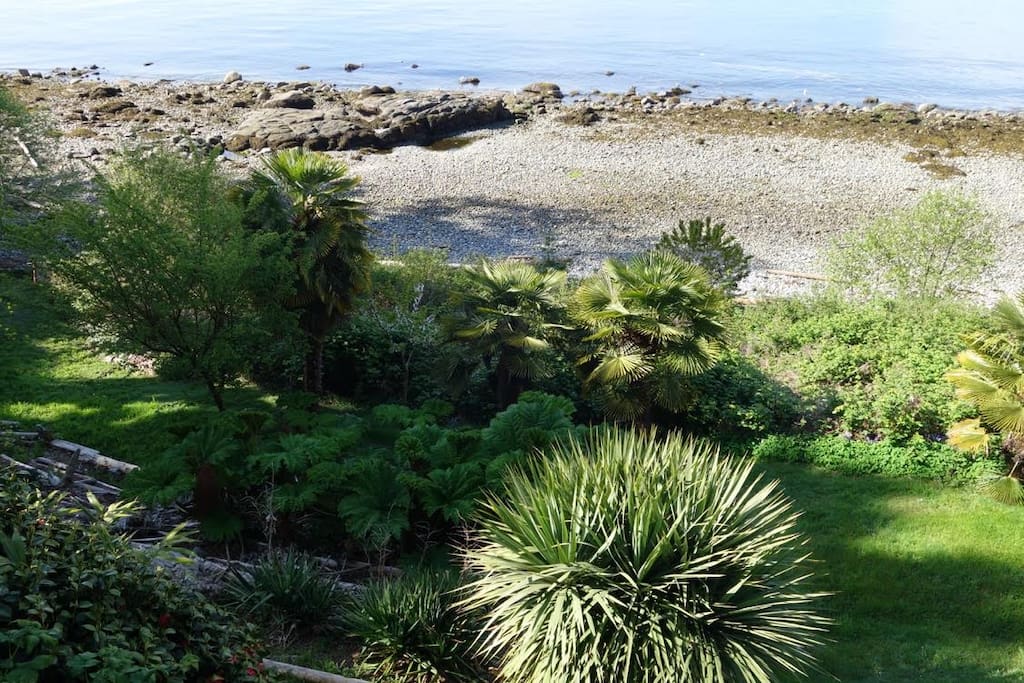 View of the beach from the deck.