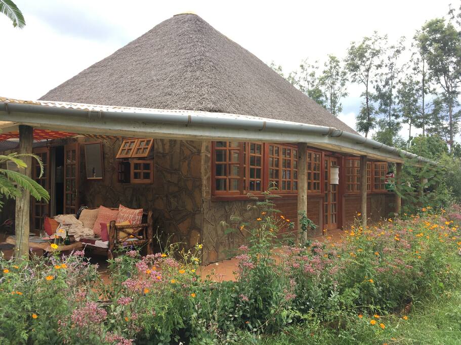 PORINI Sanctuary, a rustic modern mud and thatch house nestled amongst trees, birds and bees.