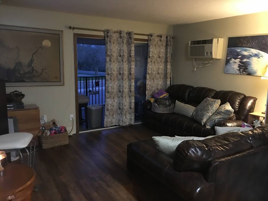 Living room/dining room area