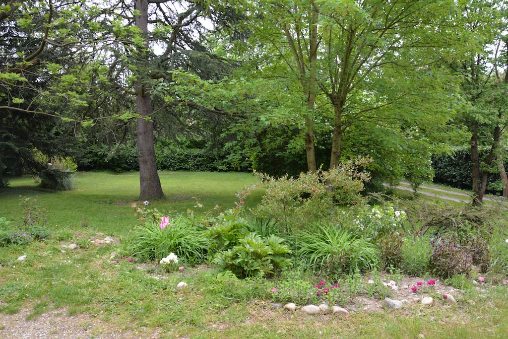 Jardin devant la maison