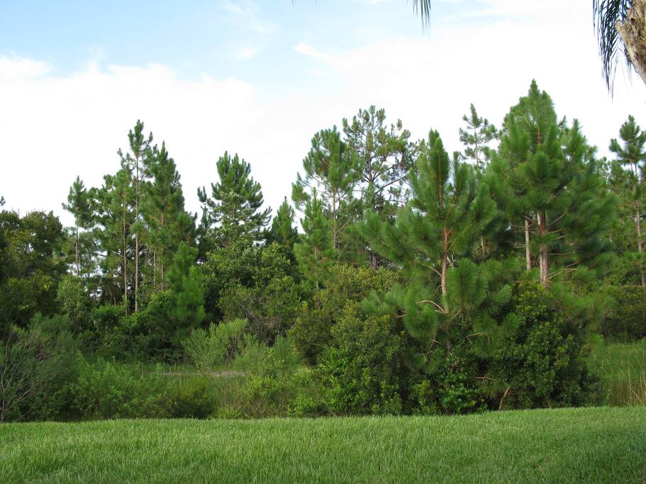 View of the nature area and post box at the front of the house.