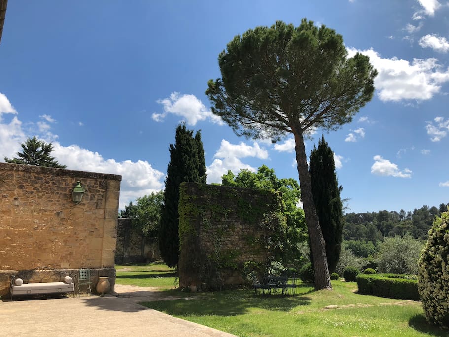 Vue du jardin face à la bastide, avec son pin parasol