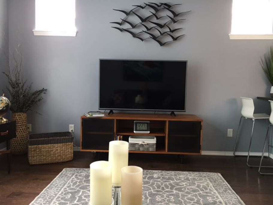 Large Screen TV