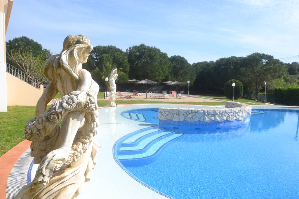 Wonderful pool