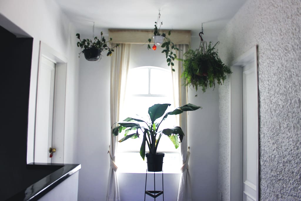Pasillo Rooms