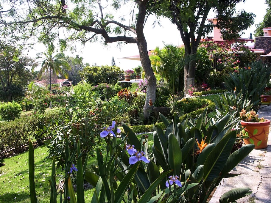 Flores exóticas y diversos árboles ornamentales y frutales