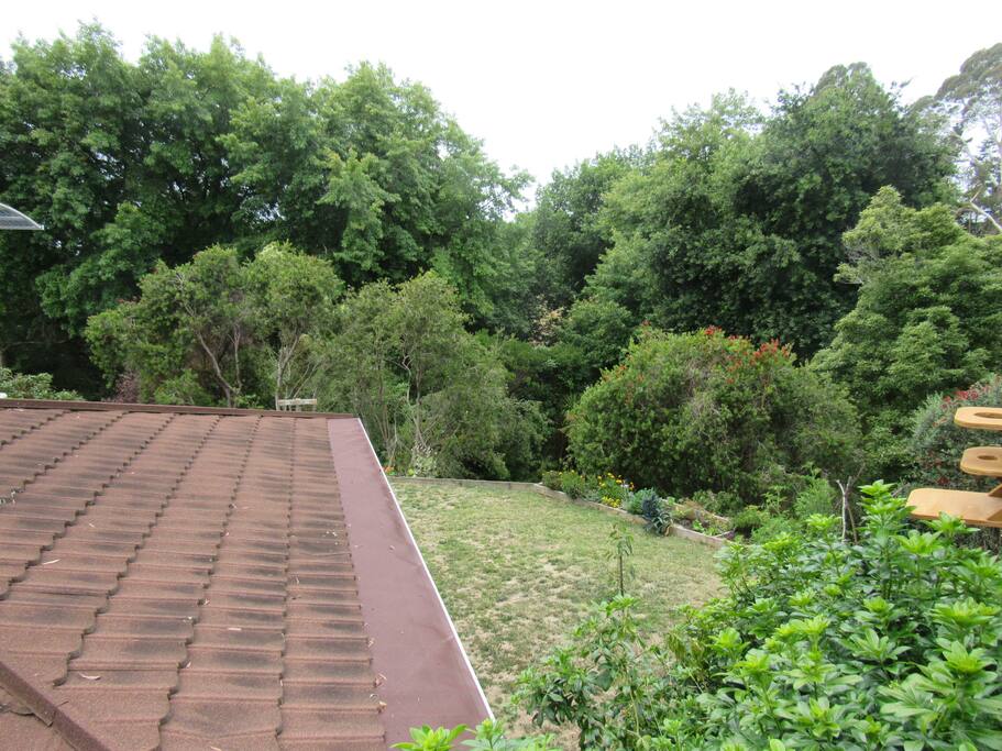 Outlook to Keirunga Gardens