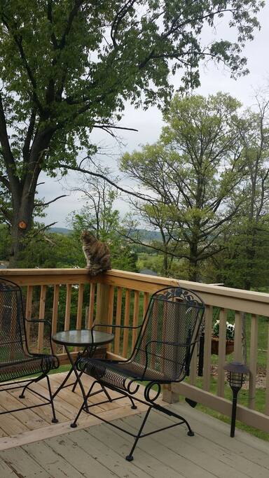 Quiet deck with a view
