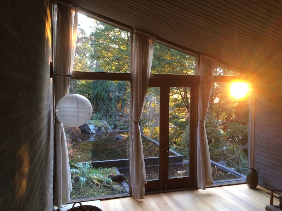 Morning sun