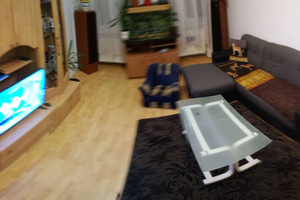 Wohnzimmer mit TV-Bereich