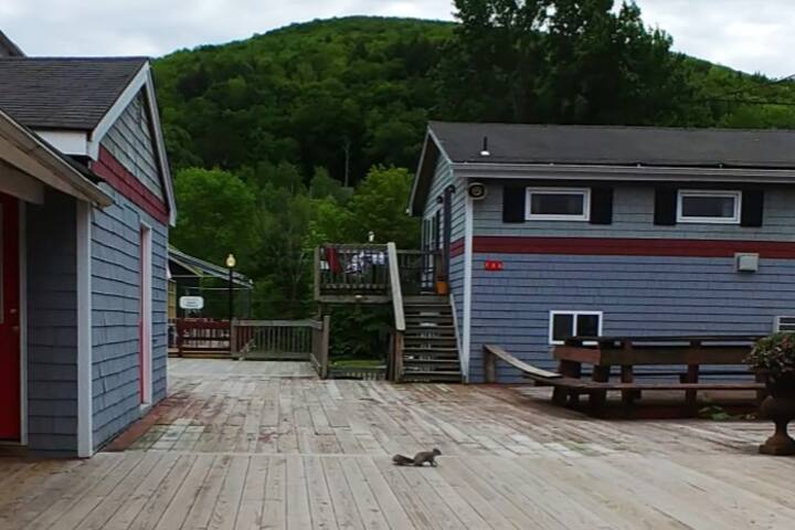 Binnekill Getaway Apt.5 in the Catskill Mountains